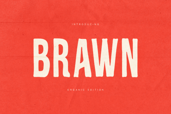Brawn: The Typeface That Brings Raw, Honest Energy to Your Brand